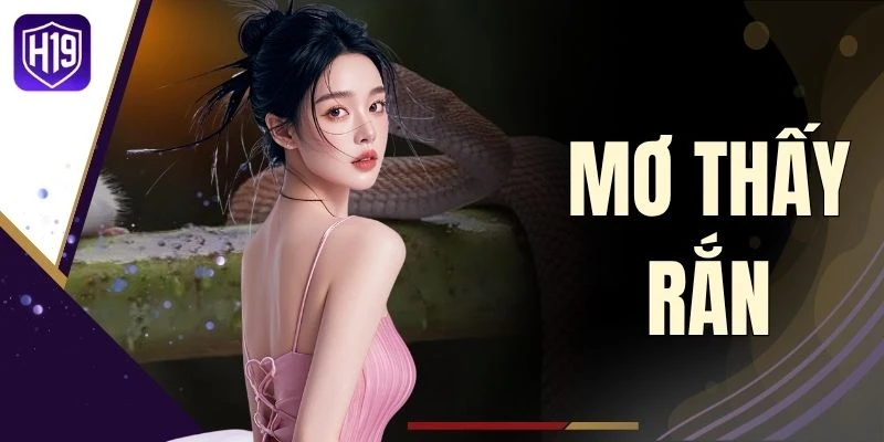 Mơ Thấy Rắn